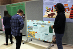 Attendee Reads Poster on the Evolution of Language by Southwestern Oklahoma State University