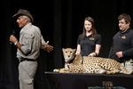 02-27-2013 Jack Hanna Shows Variety of Animals at SWOSU Panorama Event 1/2