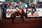 Rodeo 2002 (1) by Southwestern Oklahoma State University