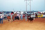 Rodeo 2002 (19) by Southwestern Oklahoma State University