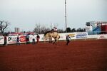 Rodeo 2002 (38) by Southwestern Oklahoma State University