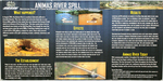 Animas River Spill by Brookson Creason and Cindi Albrightson